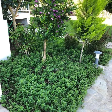 Beyaz Iskele & Restaurant 5*