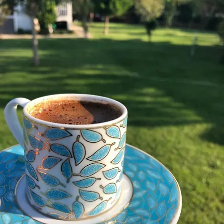 Hotel Beyaz Iskele & Restaurant Selimiye (Aegean)