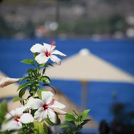 Beyaz Iskele & Restaurant Hotell