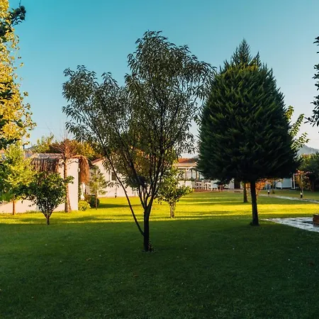 Beyaz Iskele & Restaurant 塞利米耶