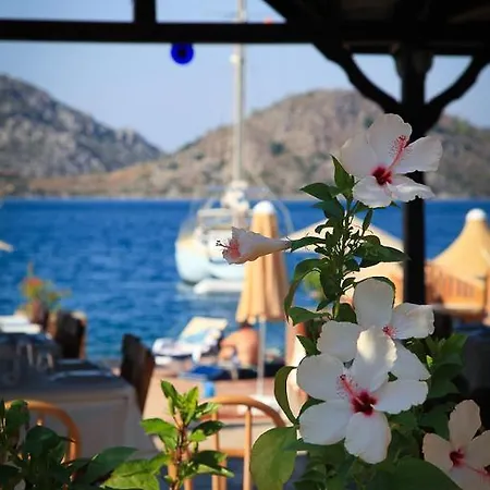 酒店 Beyaz Iskele & Restaurant 5*