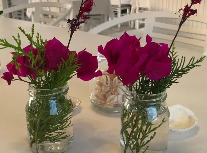 Beyaz Iskele & Restaurant