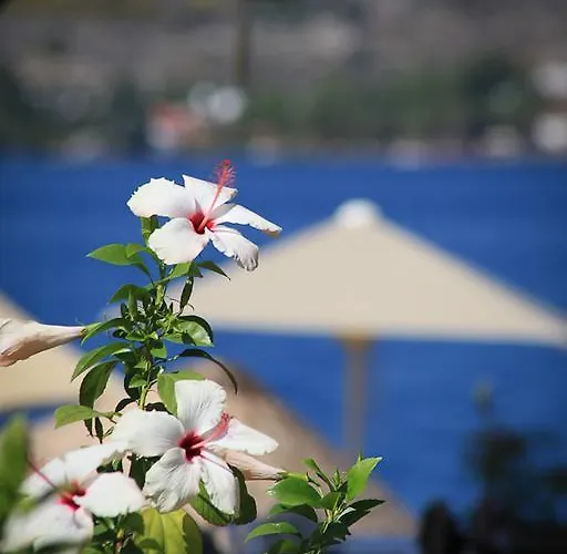 Beyaz Iskele & Restaurant Отель