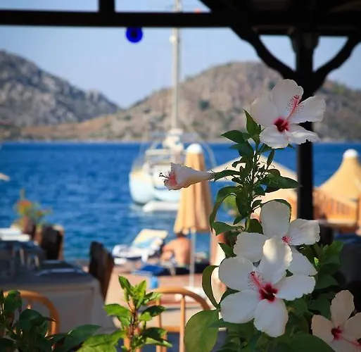 Отель Beyaz Iskele & Restaurant 5*